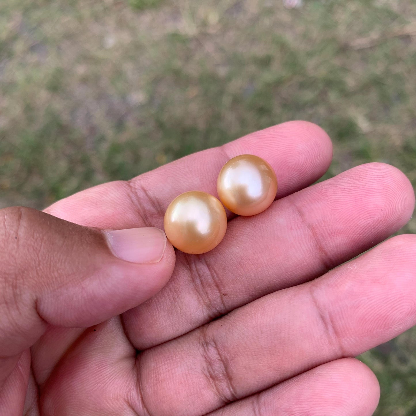 2 Pcs 13mm Golden South Sea Pearl Pair High Grade Loose Gemstones PP3-3