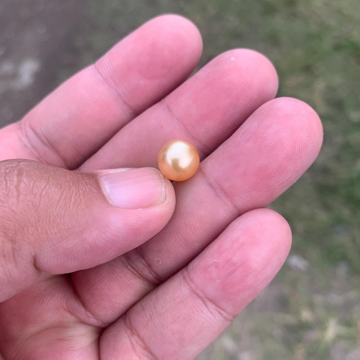 Loose Golden South Sea Pearl Beads Sea Pearl Beads High Grade Loose Saltwater Pearl Bead Small-2