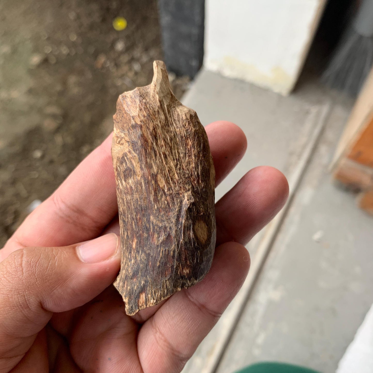 Agarwood Chips Chénxiāng Oud Incense Oudh Xiāng Kyara Kynam Aloeswood Kinam qí nán Jinkō Englewood 50 Grams C5 Solid Wood