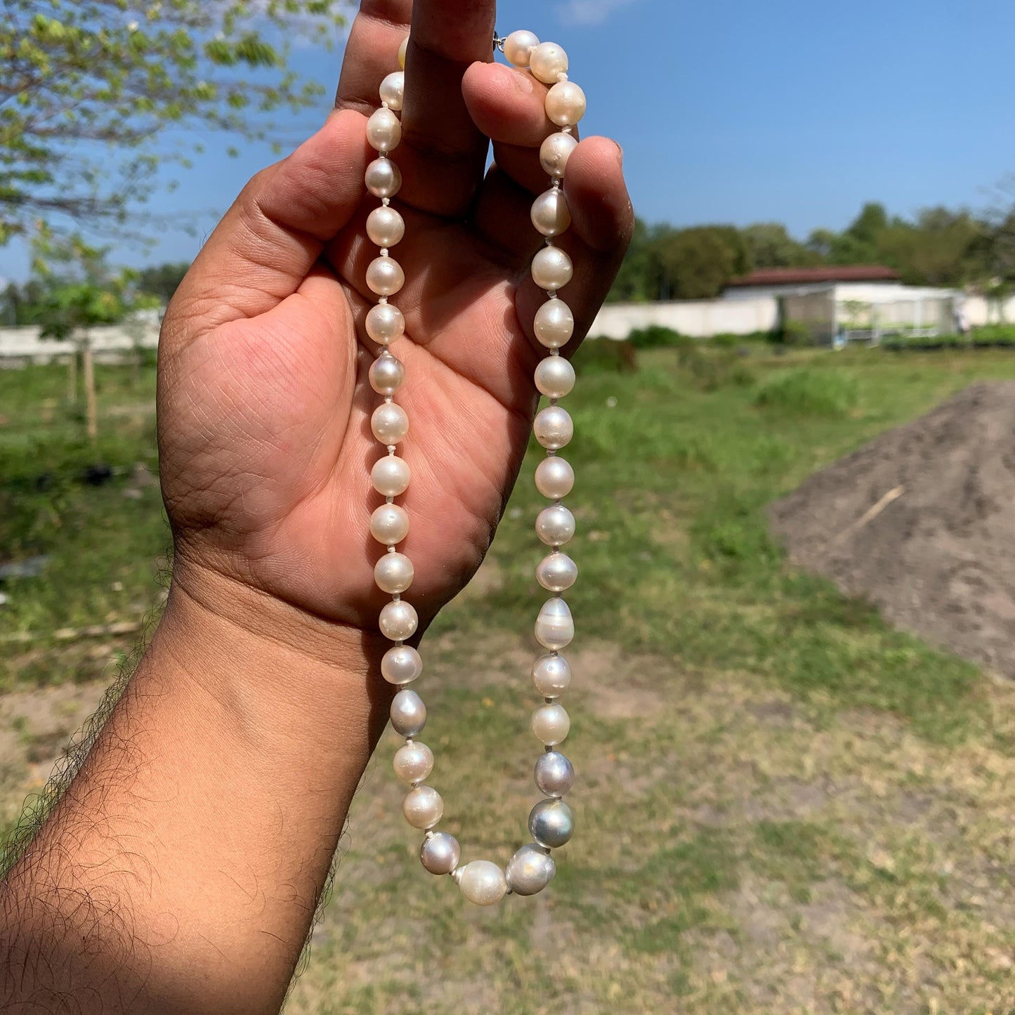 Genuine South Sea Pearl Necklace (7.5-10.8mm, 41cm)