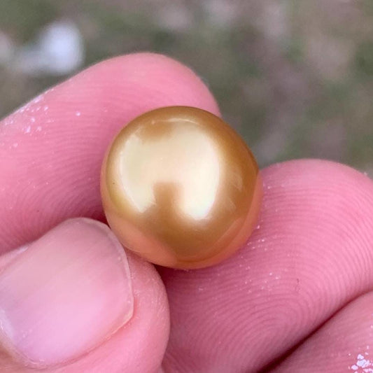 14mm Golden South Sea Button Pearl High Grade Loose Saltwater Pearl PP4-1