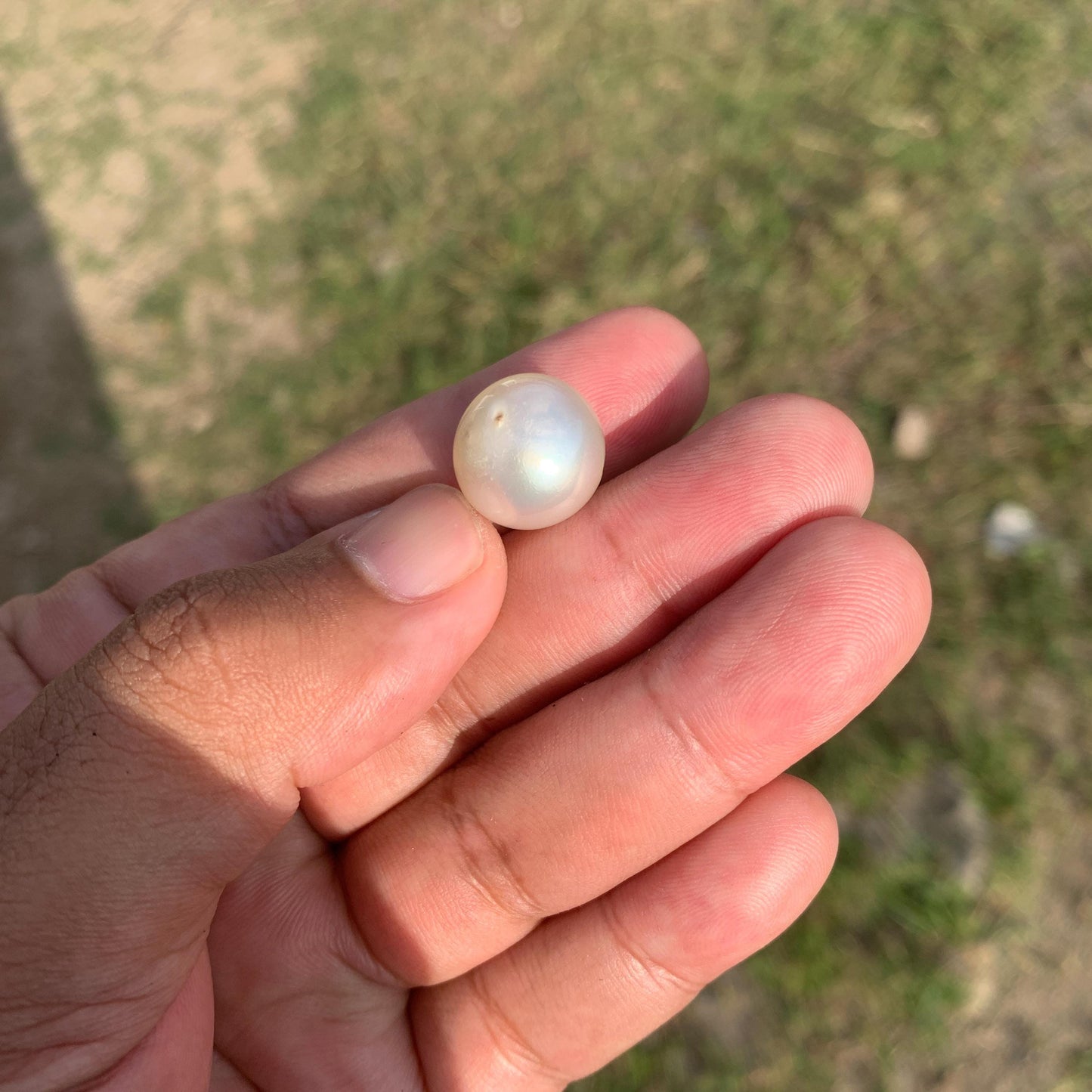 White South Sea Pearl Loose Indonesia Pearl (15.2x14.7mm) BoZorX FR-3