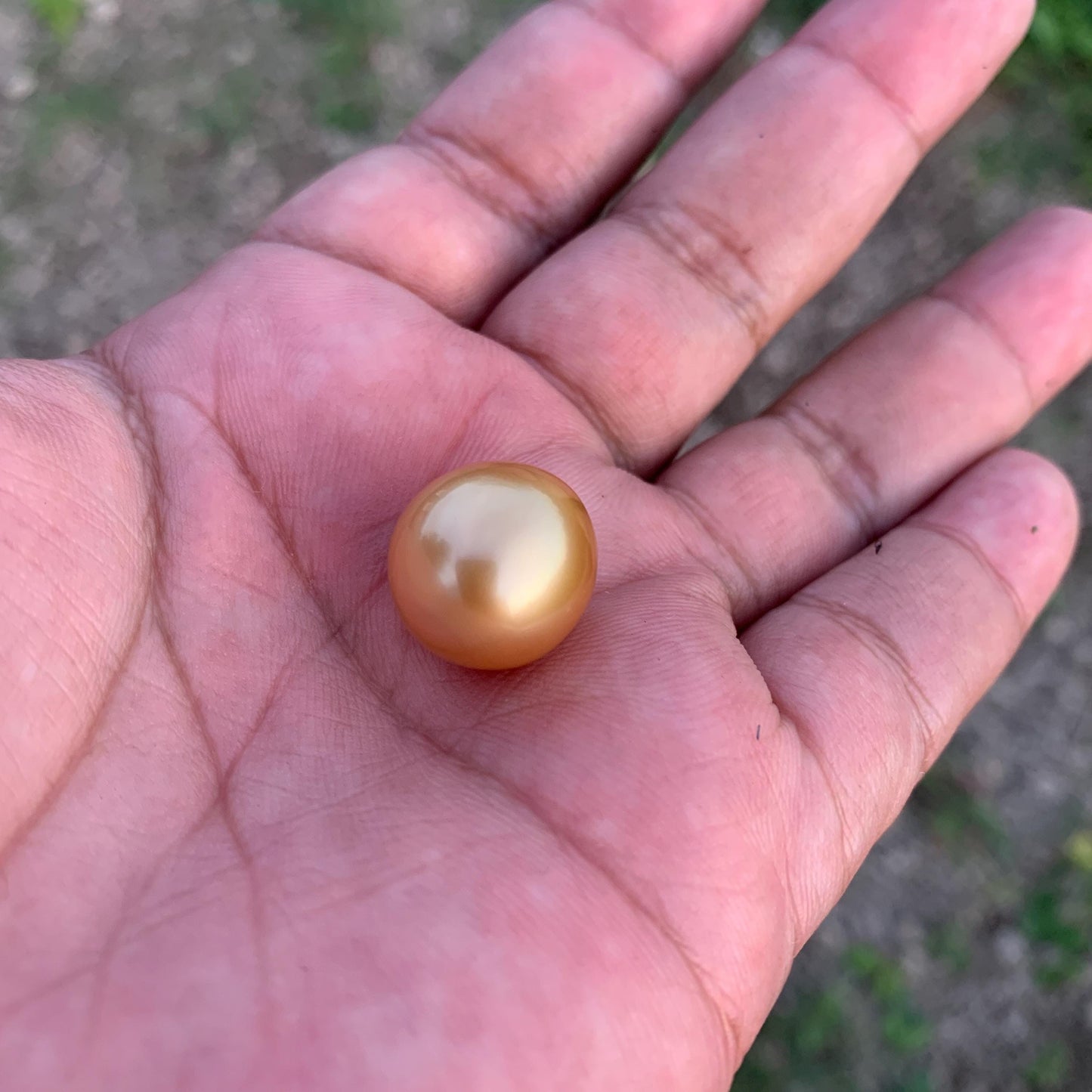 16.2x15.4mm Large Golden South Sea Pearl Undrilled Seawater Pearl PP-2