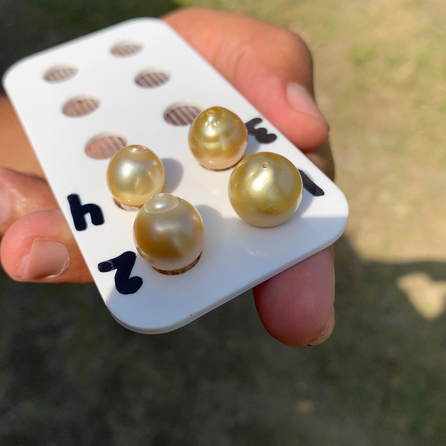 11.5-14.5mm Loose Indonesia White Sea Pearl White South Sea Pearl Half drill BoZorX LG