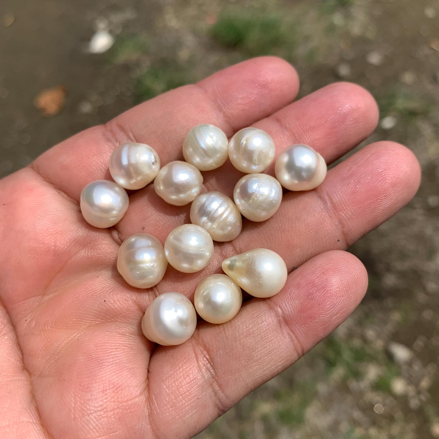 10-11mm White Circle Baroque Pearl Circle Pearl Loose Circle Baroque Sea Pearl Baroque Seawater Pearl Beads Baroque Circle White Pearl