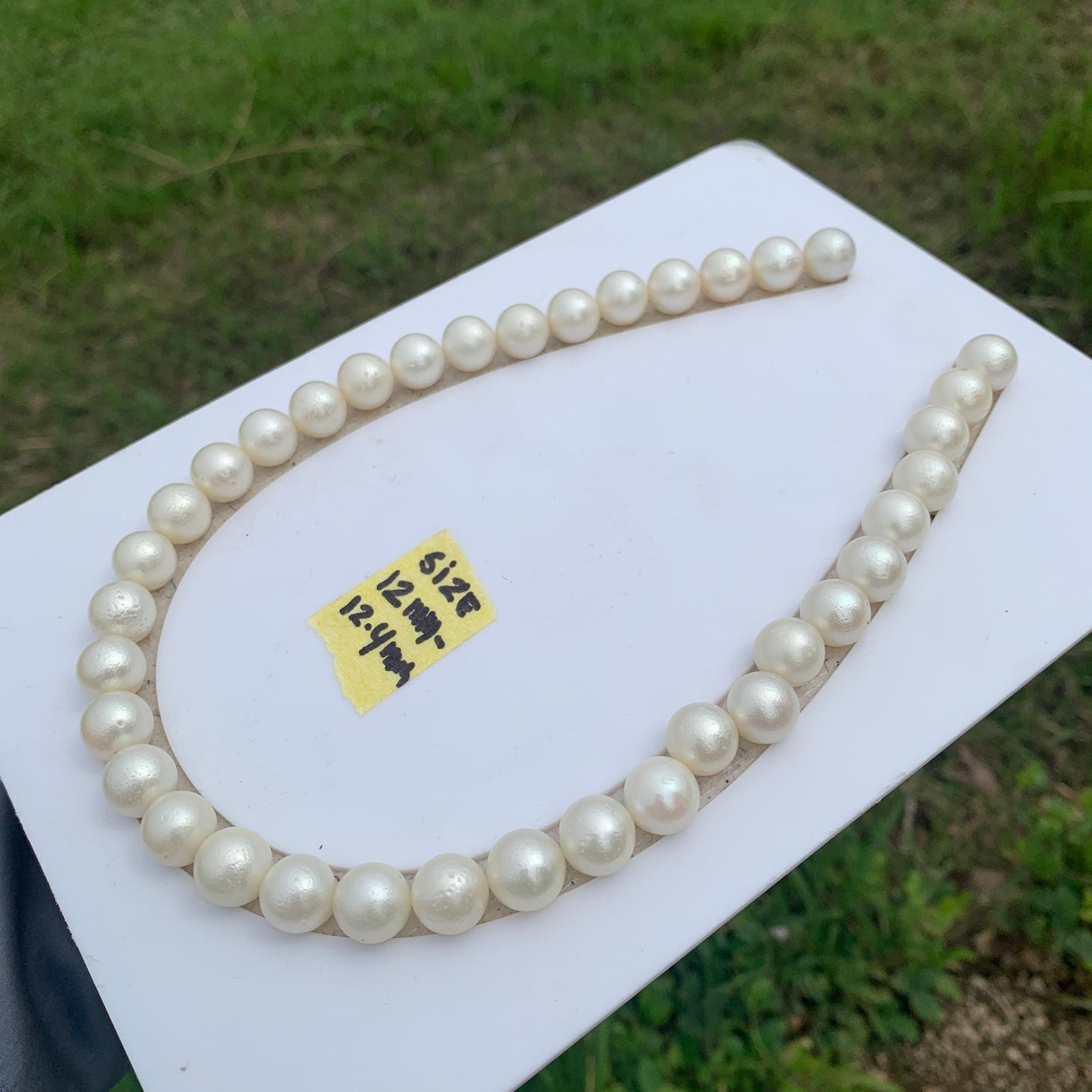 12-12.4mm White South Sea Pearl Indonesian Saltwater Seawater Pearl Necklace GR-9
