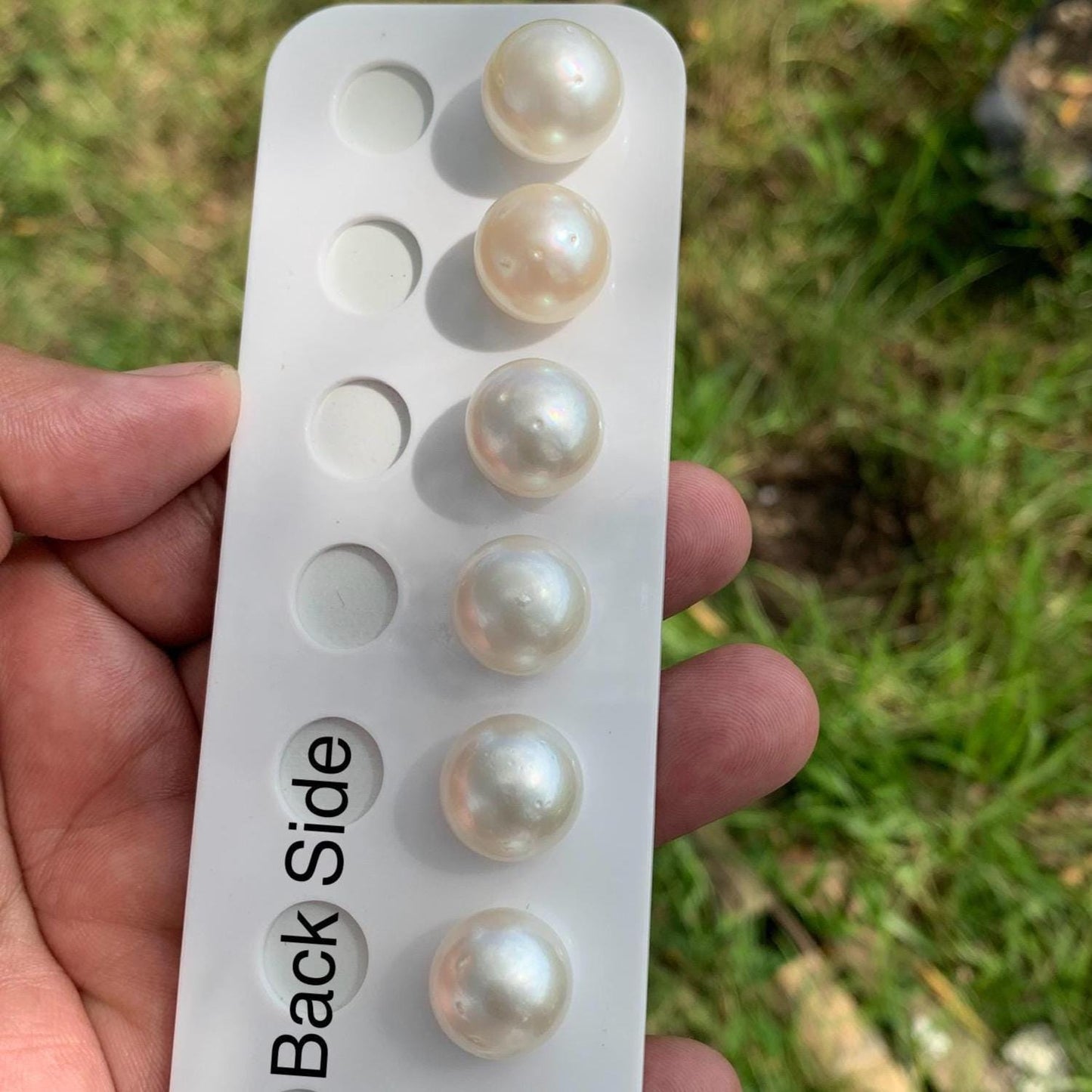 White South Sea Pearl Loose Button Shape, 14.5-16mm BT