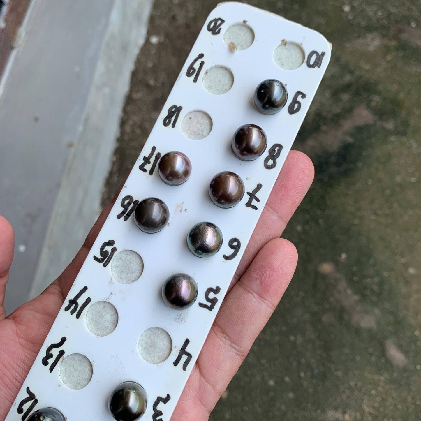 12mm Loose Seawater Tahitian Pearl Tahitian Edition Pearl Beads BoZorX BT-4