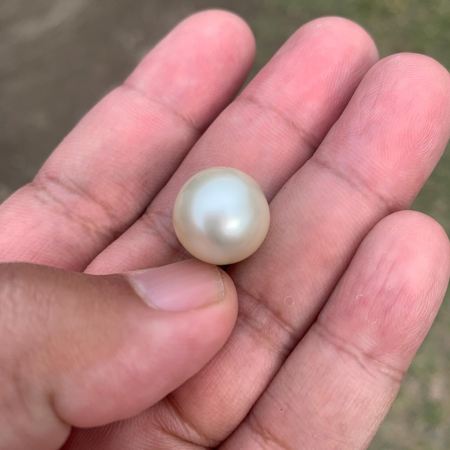 14.5mm Loose White South Sea Pearl Beads Sea Pearl Beads High Grade Loose Saltwater Pearl Bead