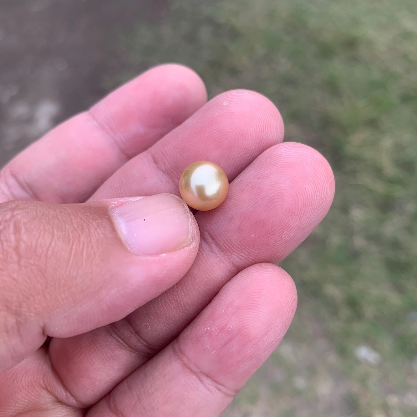 Loose Golden South Sea Pearl Beads Sea Pearl Beads High Grade Loose Saltwater Pearl Bead Small-3