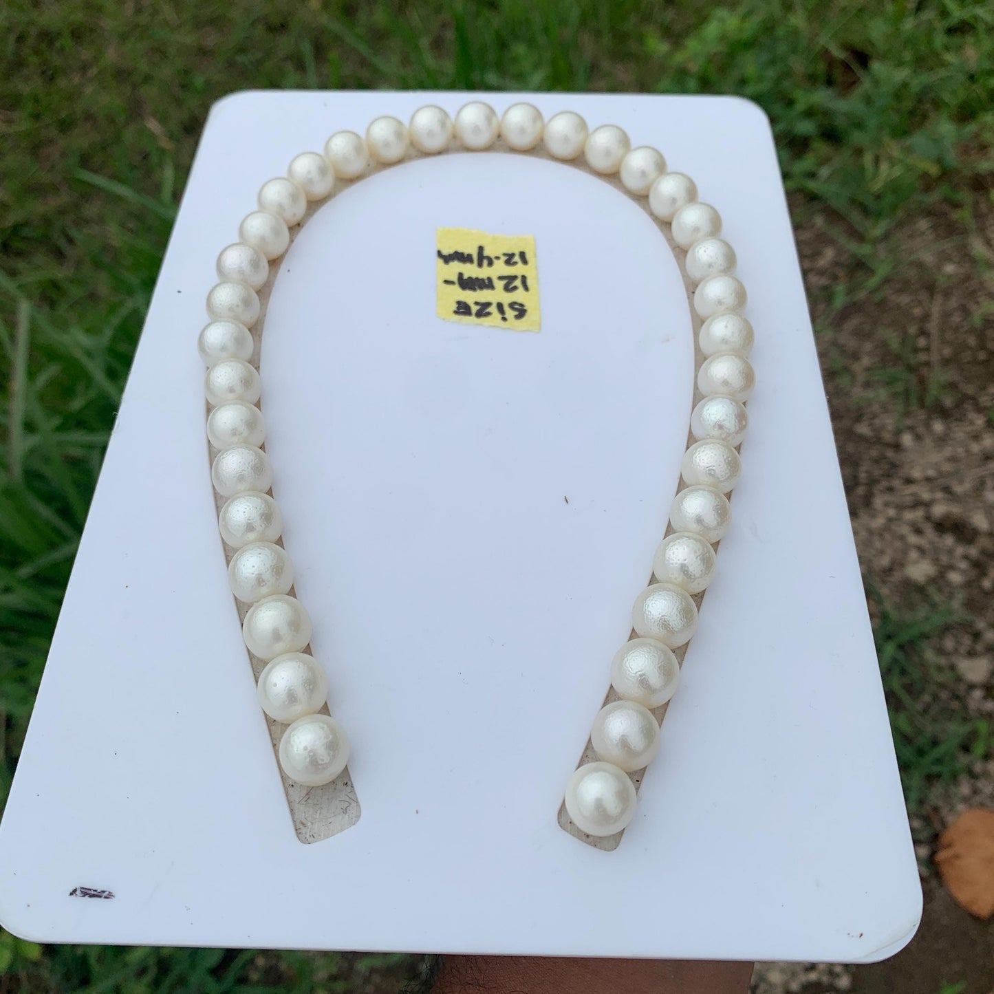 Indonesia White South Sea Pearl Necklace Saltwater Pearl Necklace Seawater Necklace Pearl Necklace 12-12.4mm GR-13
