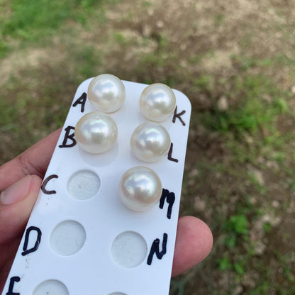 15.4-16.2mm Real south sea pearl saltwater pearl seawater pearl Pendant BoZorX HB-S