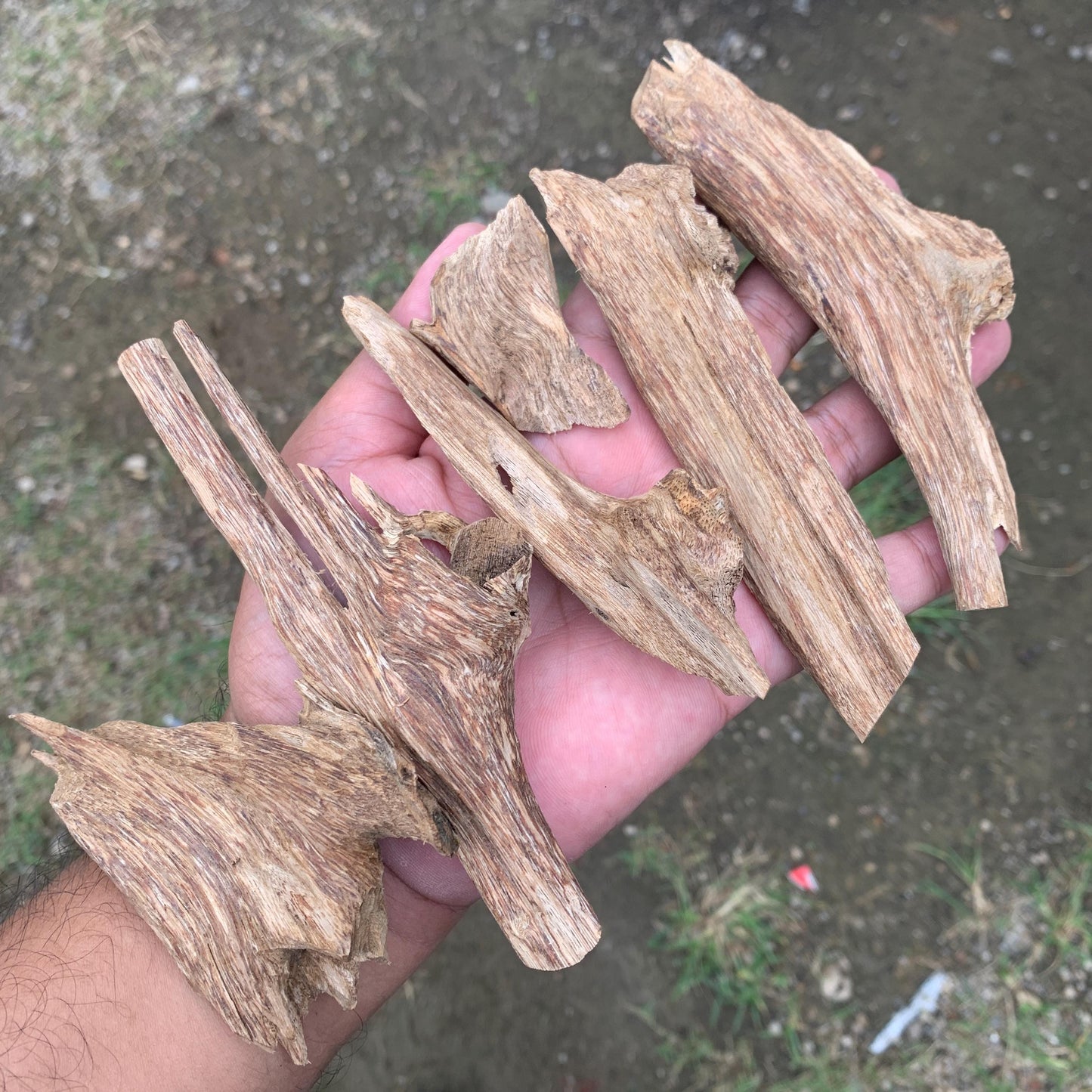 50克 沉香 奇楠 沈香 العود 50 Grams Agarwood Oud C9