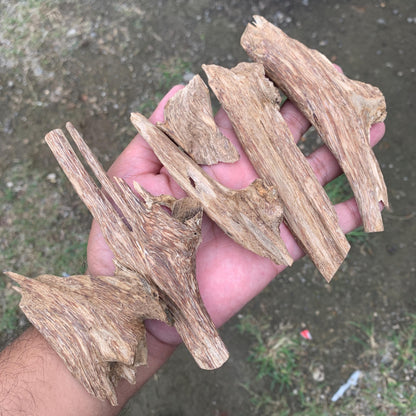 50克 沉香 奇楠 沈香 العود 50 Grams Agarwood Oud C9
