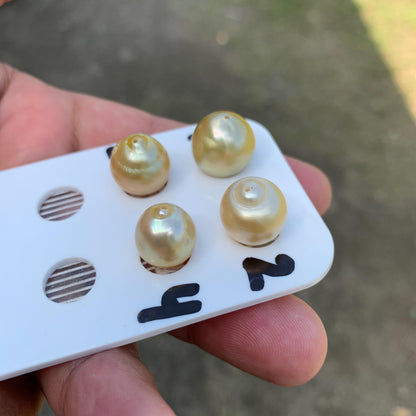 11.5-14.5mm Loose Indonesia White Sea Pearl White South Sea Pearl Half drill BoZorX LG