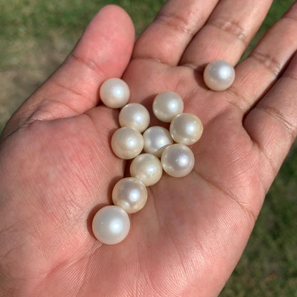 11 Pieces 11.5-11.69mm Indonesia Loose South Sea Pearl Seawater Pearl Beads Special edition Pearl BoZorX GR-26