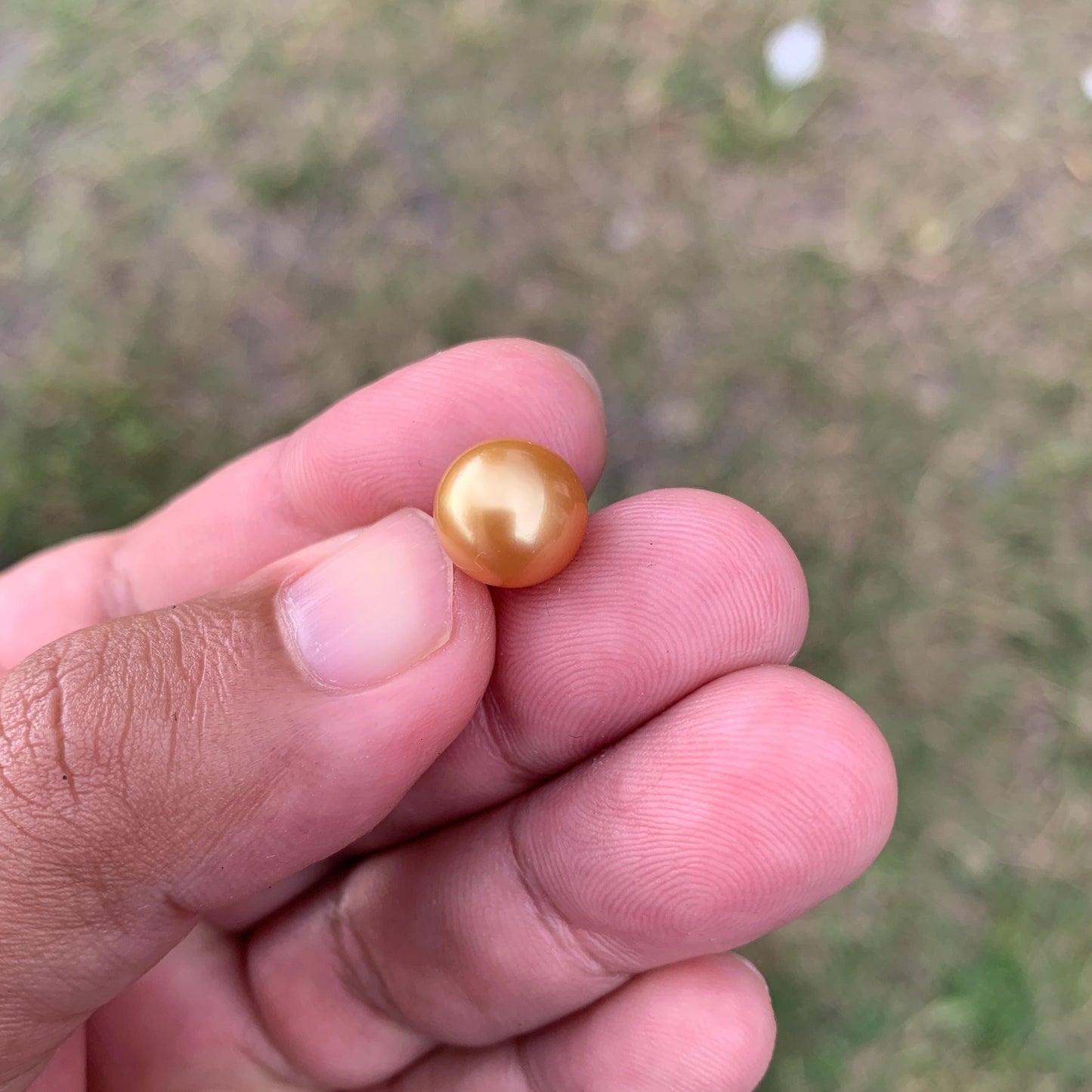10.6mm Golden South Sea Pearl High Grade Loose Seawater Pearl PP3-6