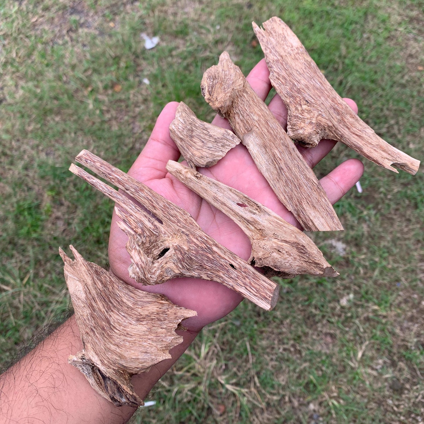 50克 沉香 奇楠 沈香 العود 50 Grams Agarwood Oud C9