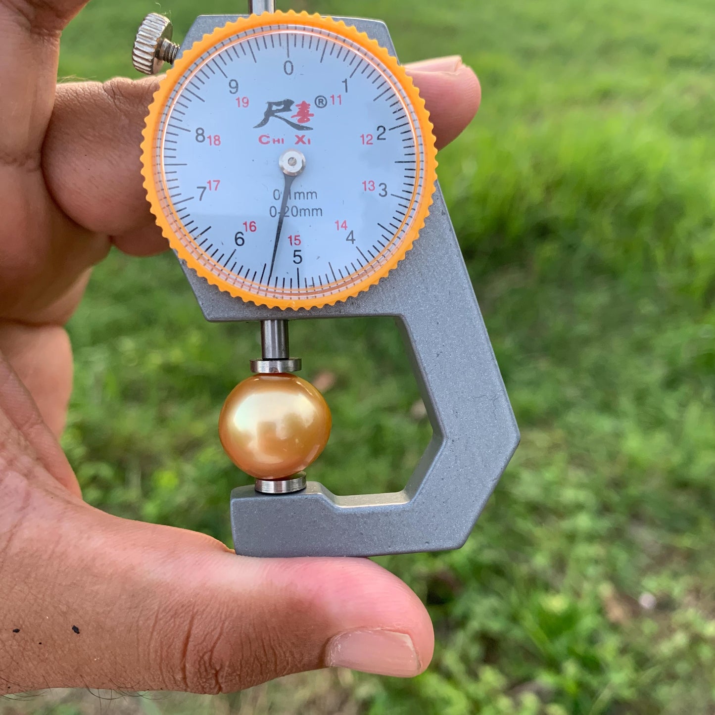 16.2x15.4mm Large Golden South Sea Pearl Undrilled Seawater Pearl PP-2