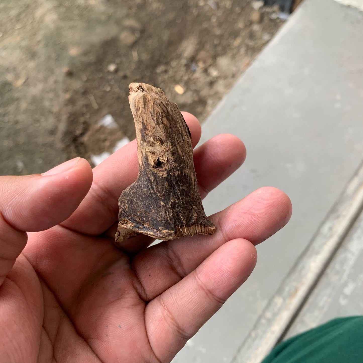 Agarwood Chips Chénxiāng Oud Incense Oudh Xiāng Kyara Kynam Aloeswood Kinam qí nán Jinkō Englewood 50 Grams C5 Solid Wood