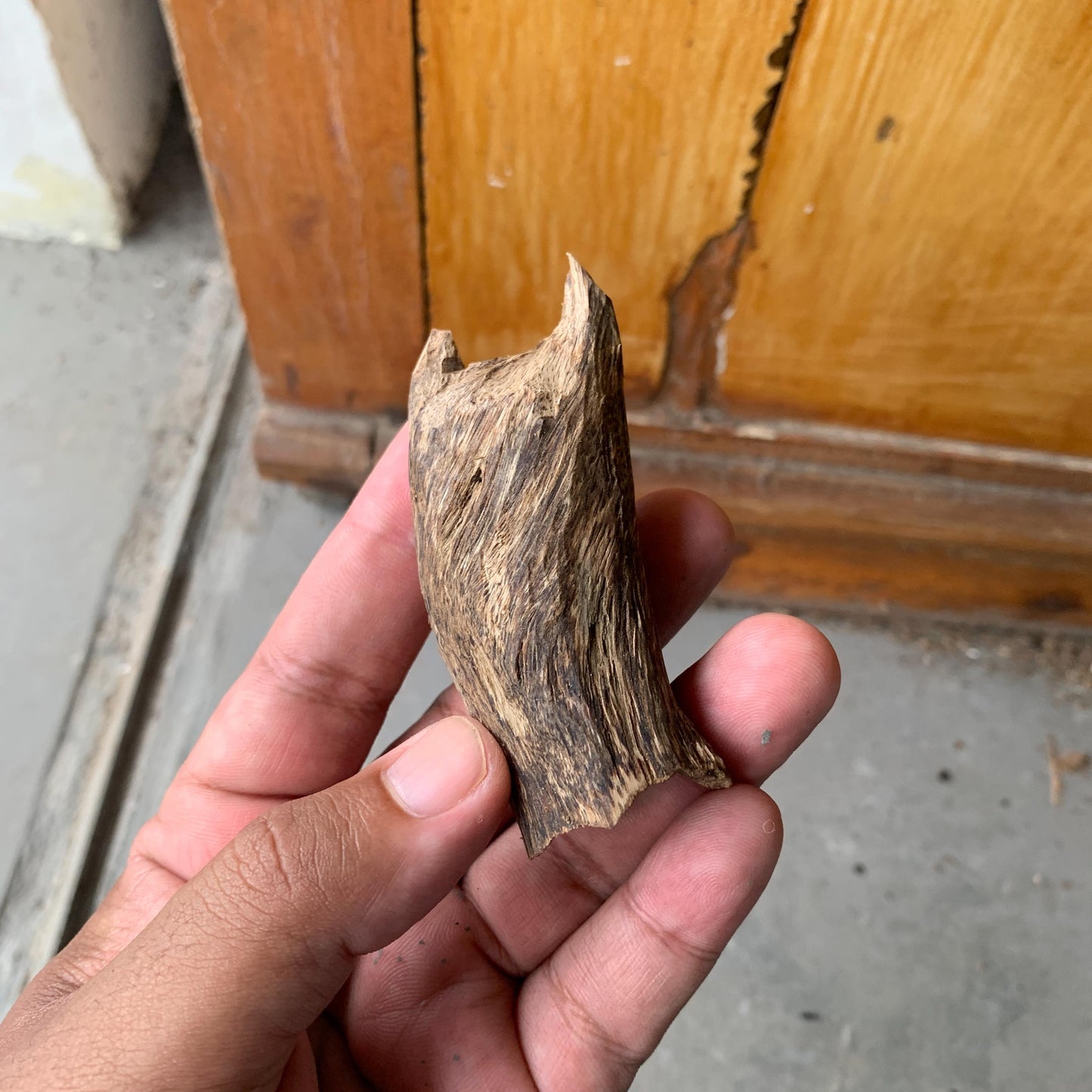 Agarwood Chips Chénxiāng Oud Incense Oudh Xiāng Kyara Kynam Aloeswood Kinam qí nán Jinkō Englewood 50 Grams C5 Solid Wood