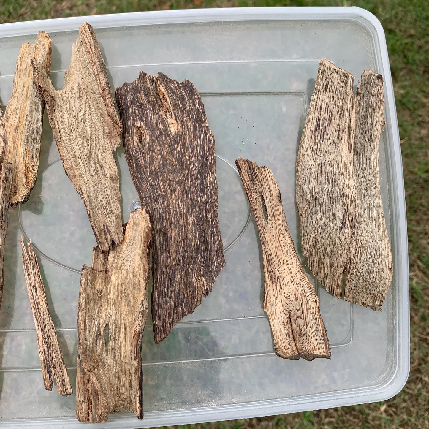 50 Grams Indonesia Agarwood Chips