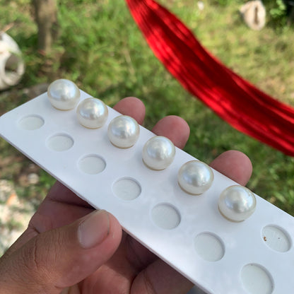 White South Sea Pearl Loose Button Shape, 14.5-16mm BT