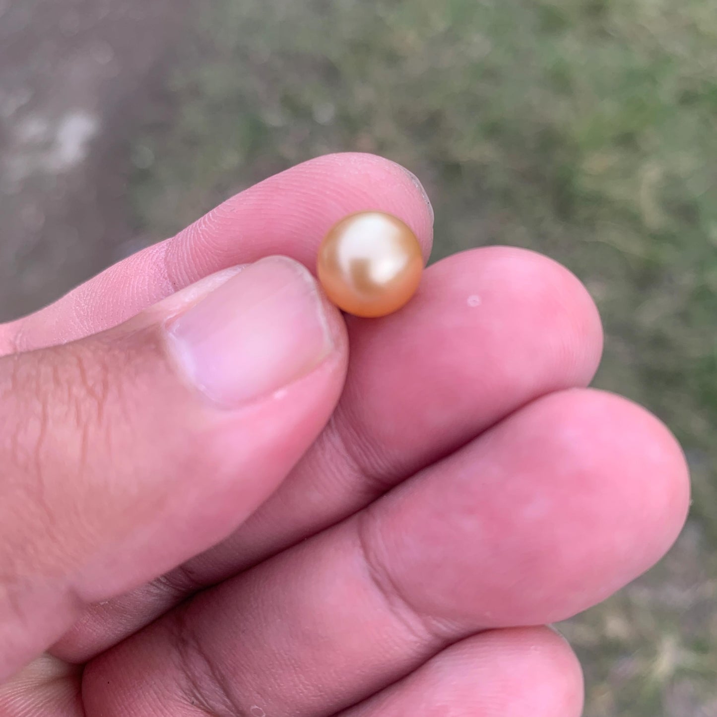 Loose Golden South Sea Pearl Beads Sea Pearl Beads High Grade Loose Saltwater Pearl Bead Small-2