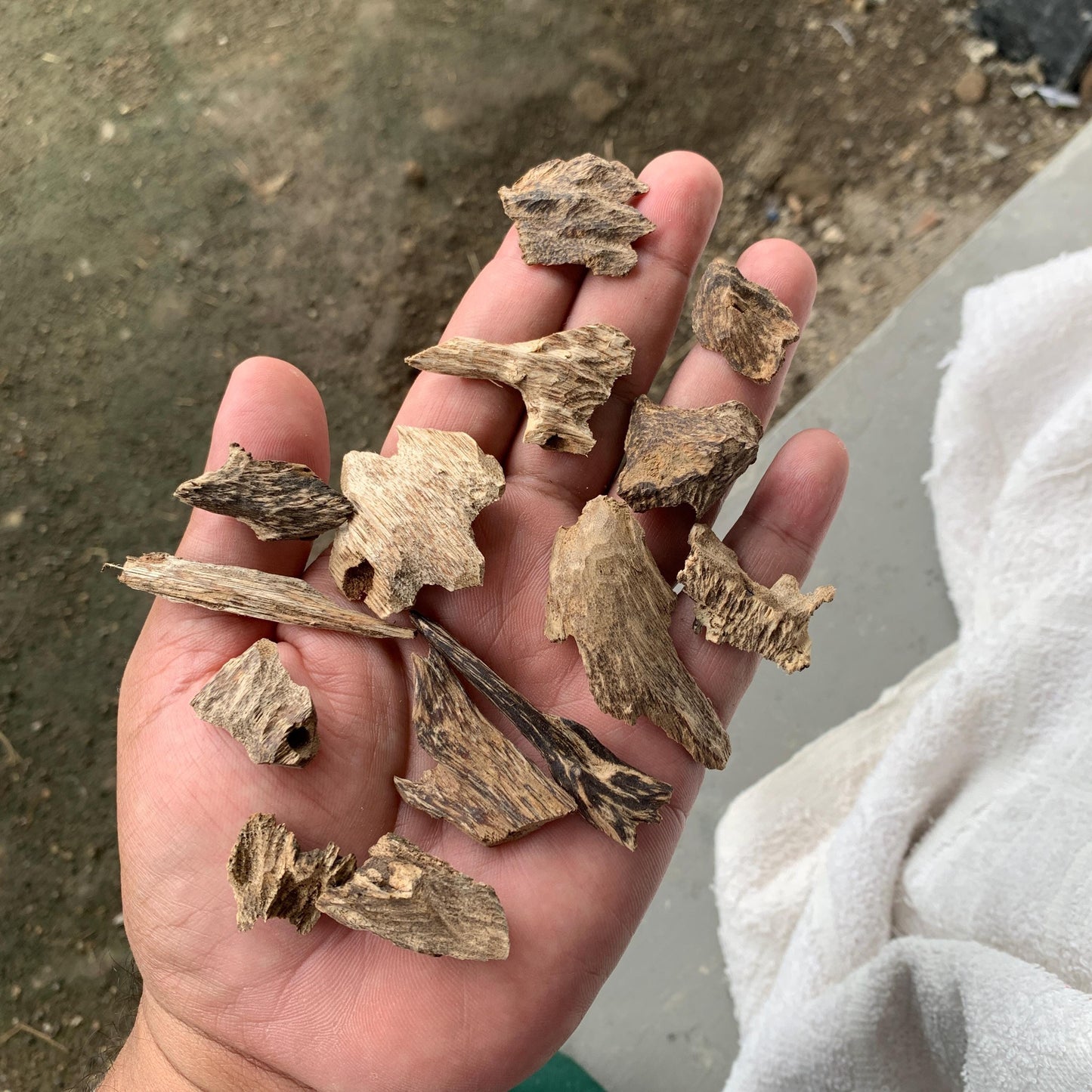 Agarwood Oud Aloes wood Englewood 50 Grams C4