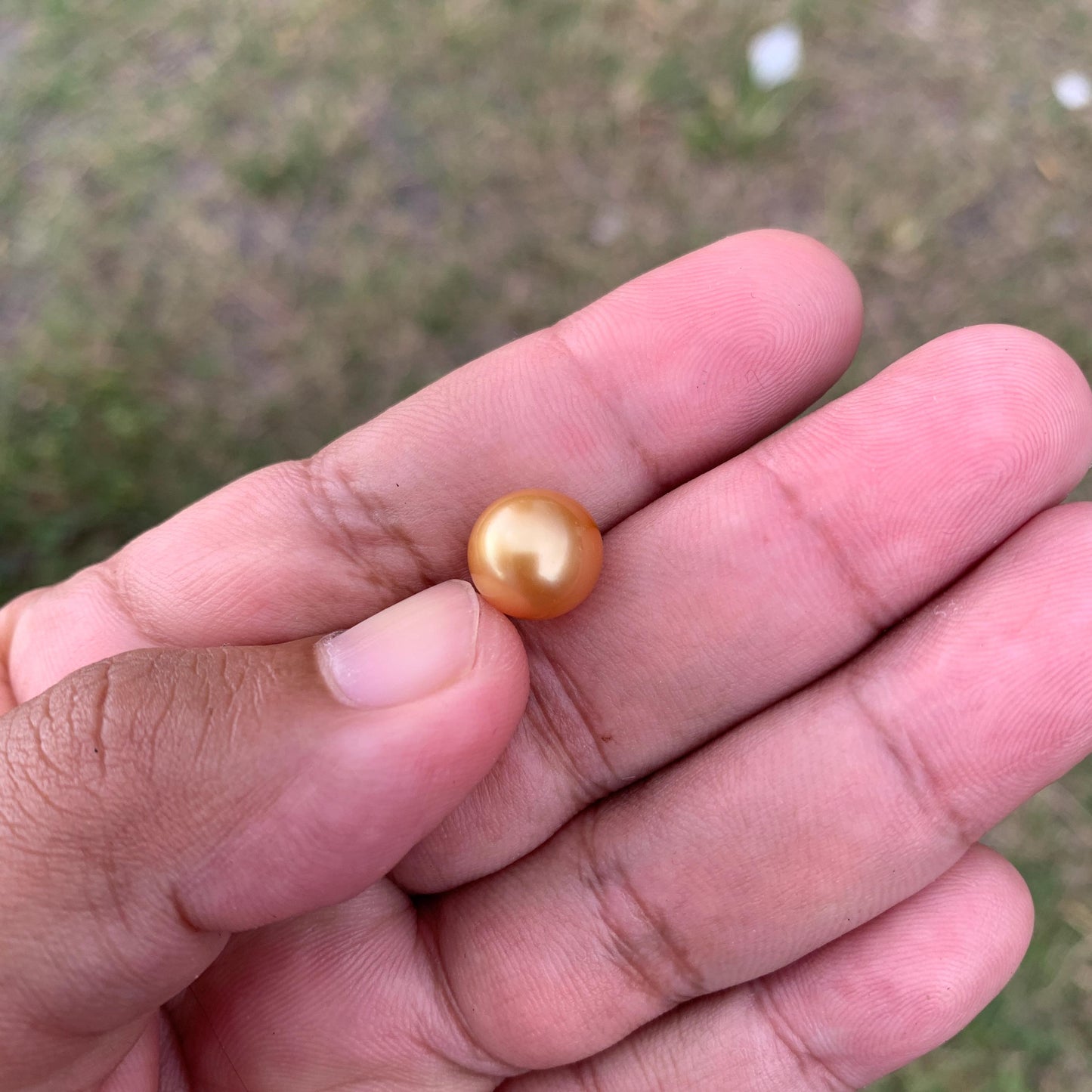 10.6mm Golden South Sea Pearl High Grade Loose Seawater Pearl PP3-6