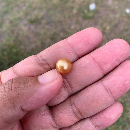 10.6mm Golden South Sea Pearl High Grade Loose Seawater Pearl PP3-6