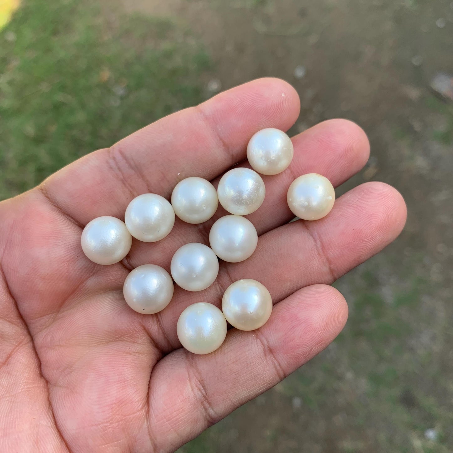 11 Pieces 11.5-11.69mm Indonesia Loose South Sea Pearl Seawater Pearl Beads Special edition Pearl BoZorX GR-26