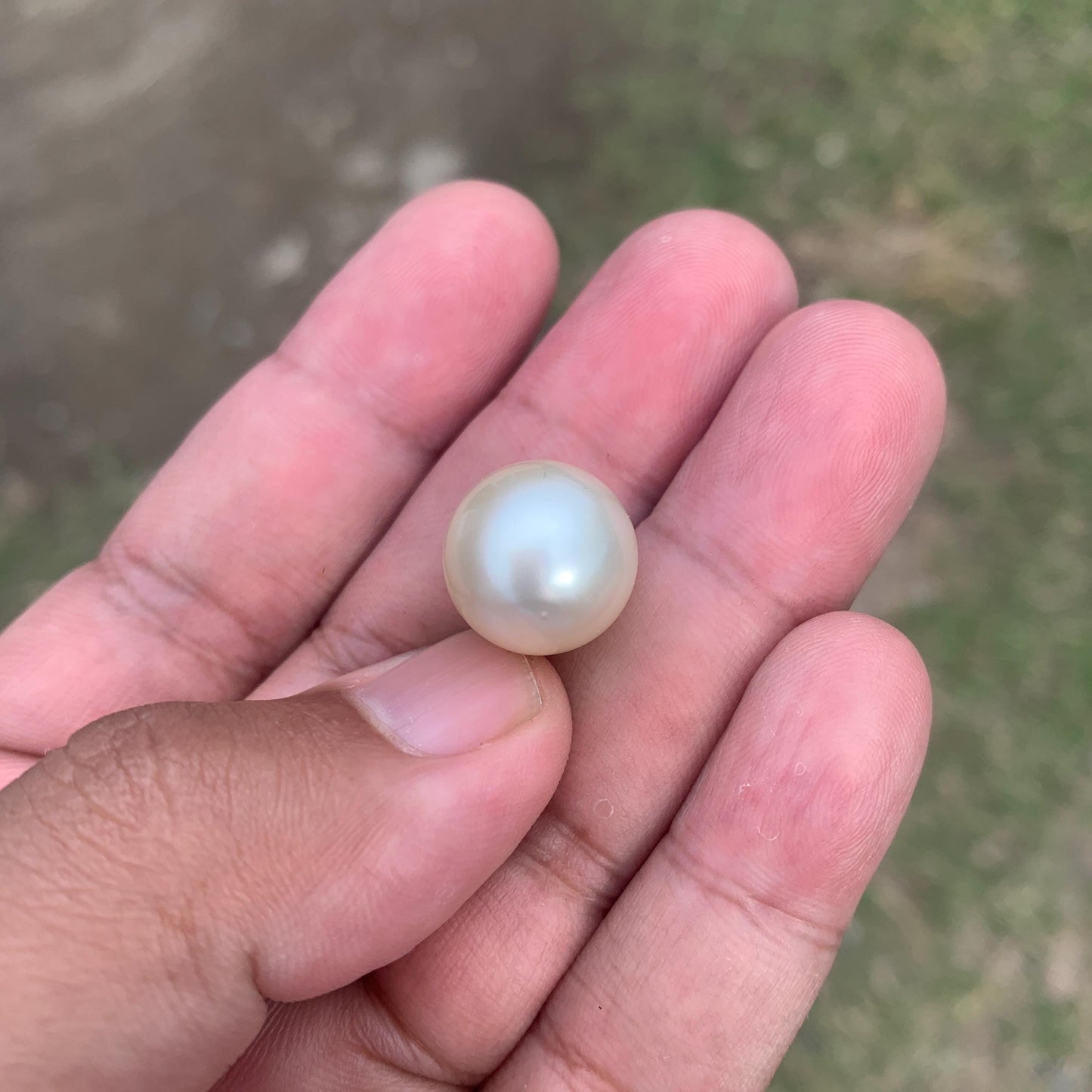 14.5mm Loose White South Sea Pearl Beads Sea Pearl Beads High Grade Loose Saltwater Pearl Bead