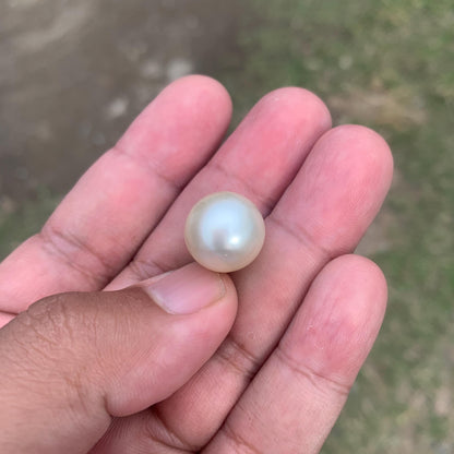 14.5mm Loose White South Sea Pearl Beads Sea Pearl Beads High Grade Loose Saltwater Pearl Bead