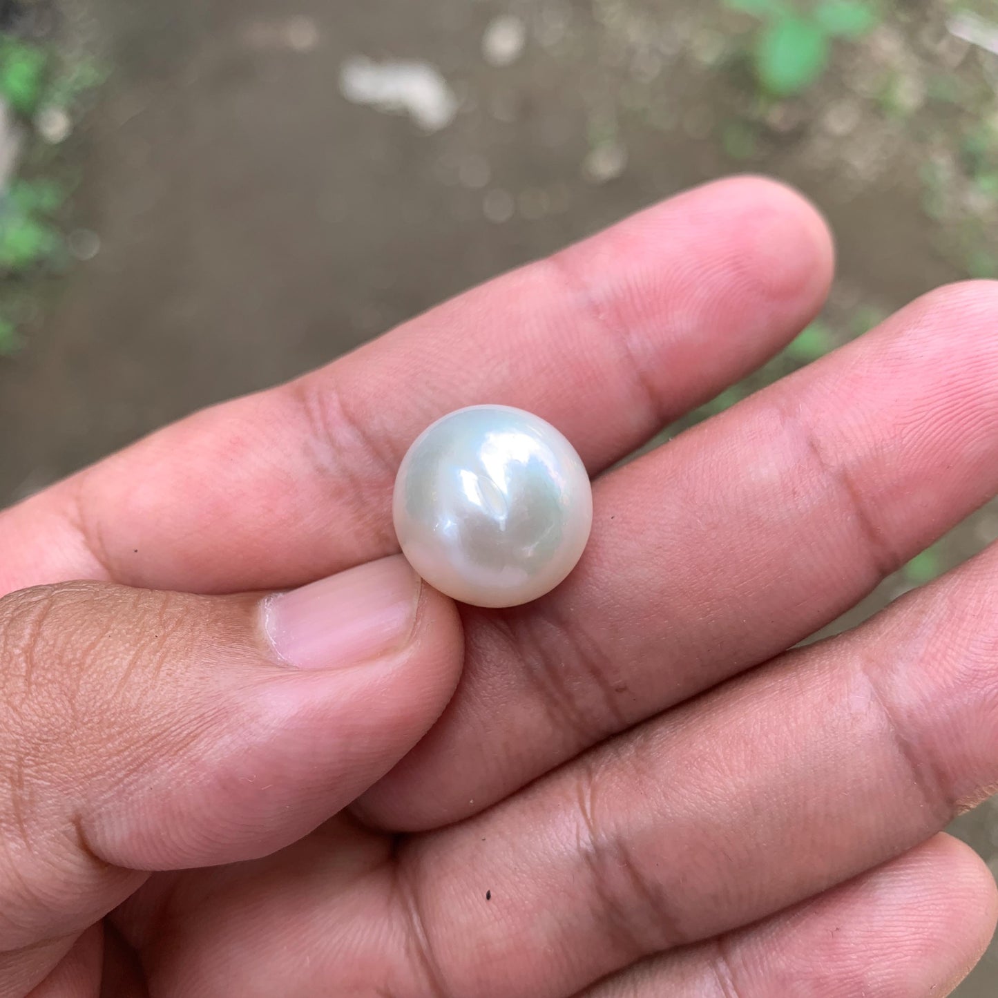 White South Sea Pearl: Loose Indonesia Pearl (15.7x15.4mm) BoZorX FR-1