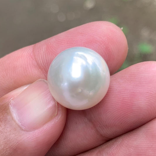 White South Sea Pearl: Loose Indonesia Pearl (15.7x15.4mm) BoZorX FR-1