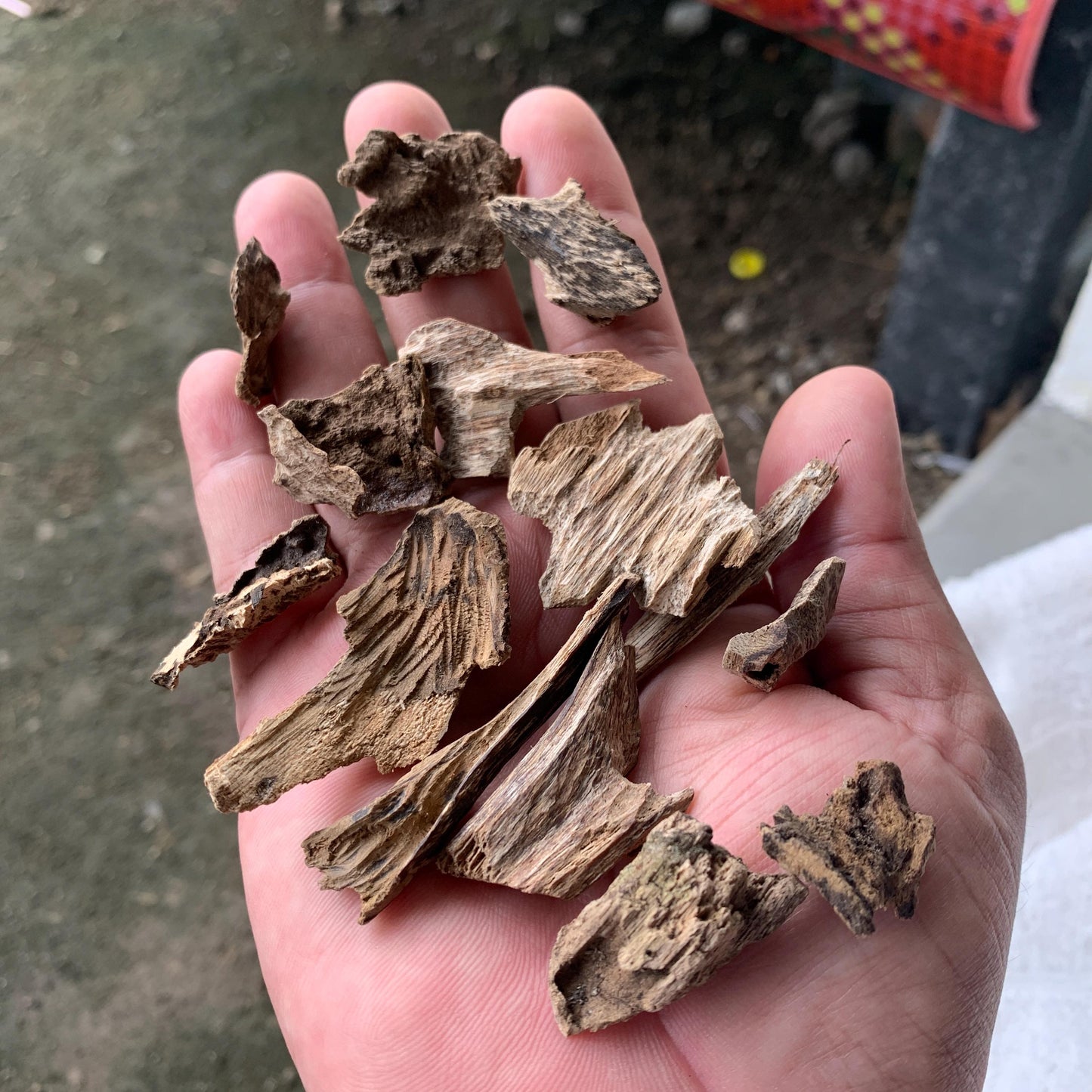 Agarwood Oud Aloes wood Englewood 50 Grams C4