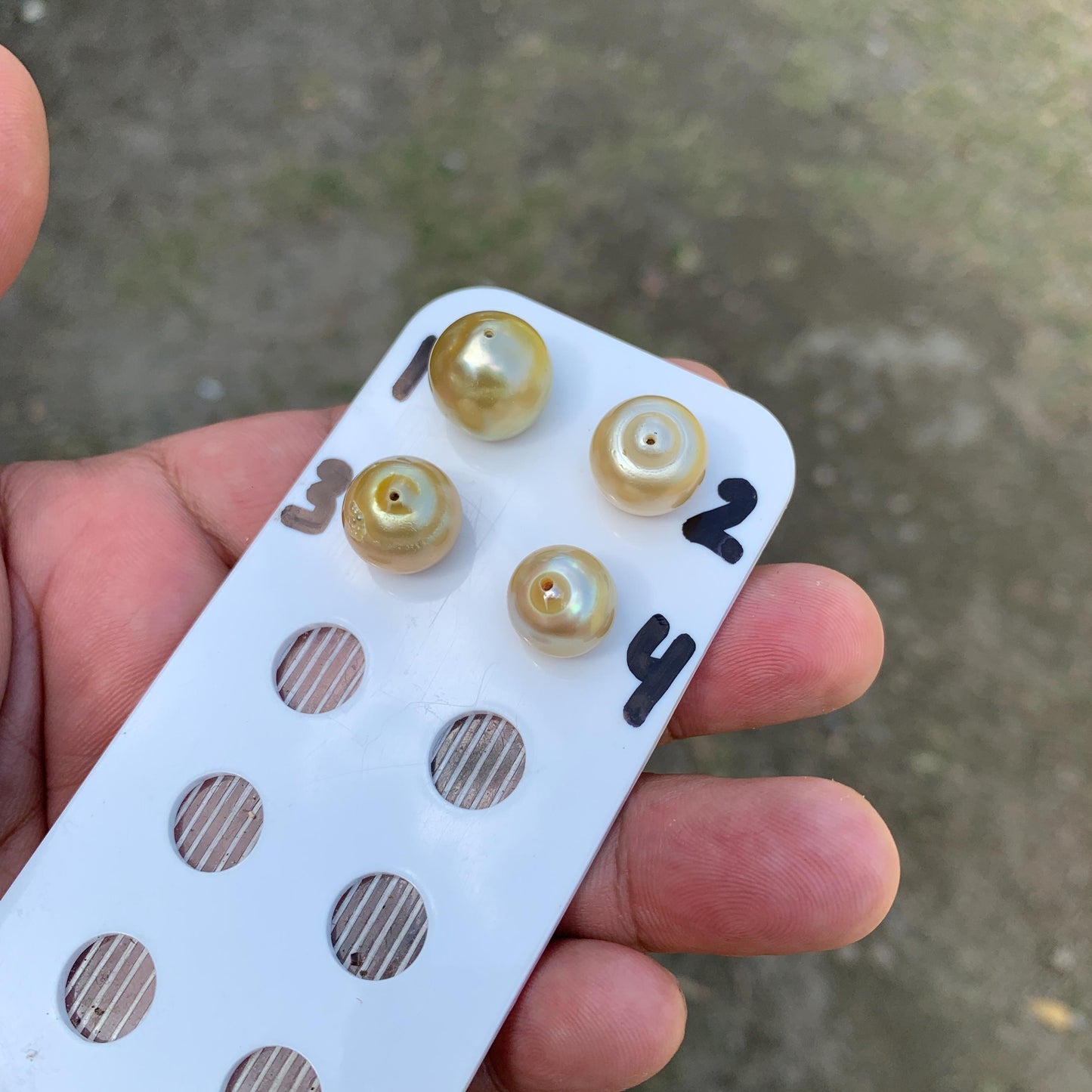 11.5-14.5mm Loose Indonesia White Sea Pearl White South Sea Pearl Half drill BoZorX LG