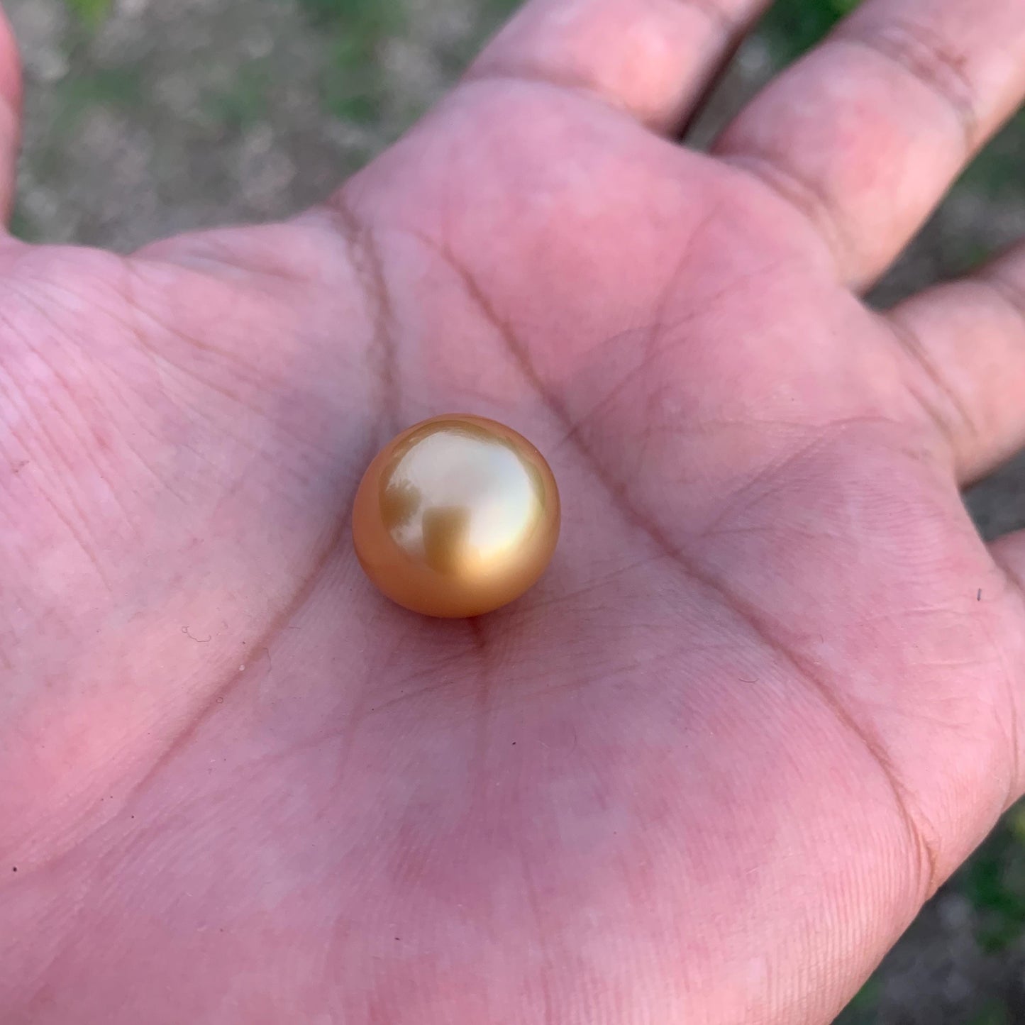 16.2x15.4mm Large Golden South Sea Pearl Undrilled Seawater Pearl PP-2