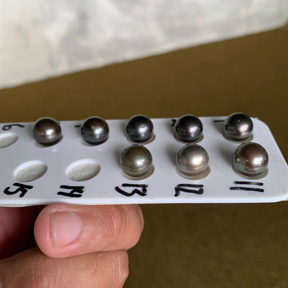 8 Pcs 11mm Loose Seawater Black Pearl Tahitian Edition Pearl Beads BoZorX BT-3