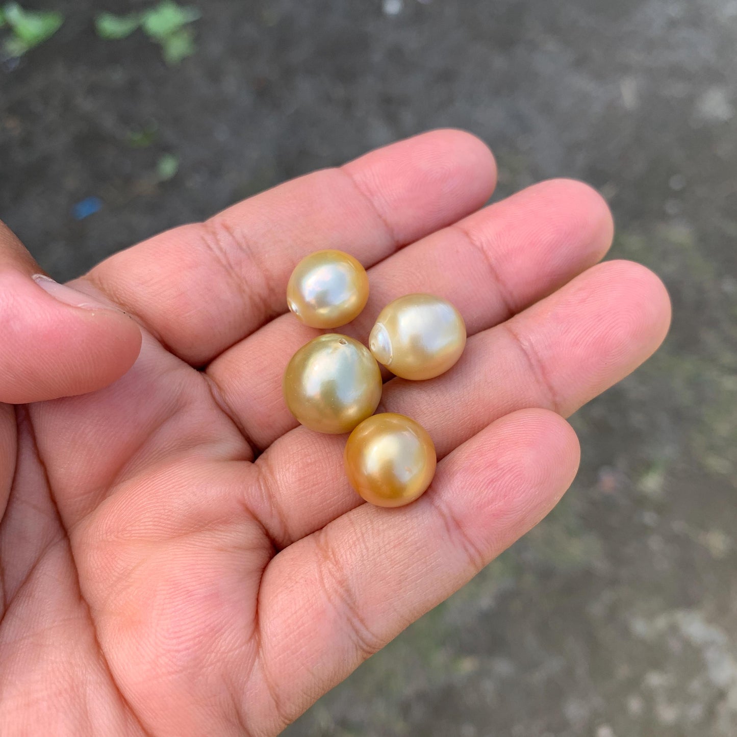 11.5-14.5mm Loose Indonesia White Sea Pearl White South Sea Pearl Half drill BoZorX LG