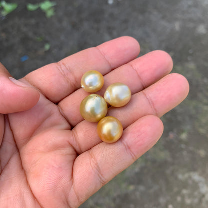 11.5-14.5mm Loose Indonesia White Sea Pearl White South Sea Pearl Half drill BoZorX LG