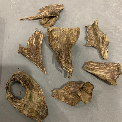 Agarwood Chips Chénxiāng Oud Incense Oudh Xiāng Kyara Kynam Aloeswood Kinam qí nán Jinkoh Englewood Grams  Solid Wood