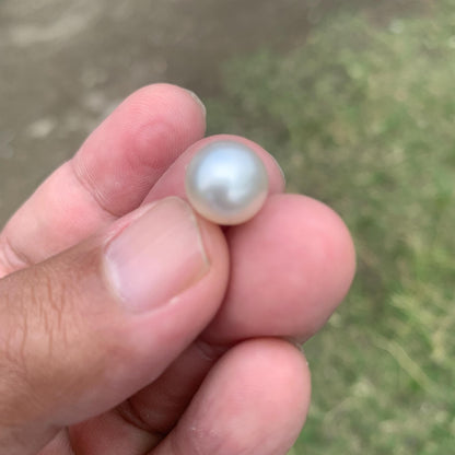 Loose White South Sea Pearl Beads Sea Pearl Beads High Grade Loose Saltwater Pearl Bead