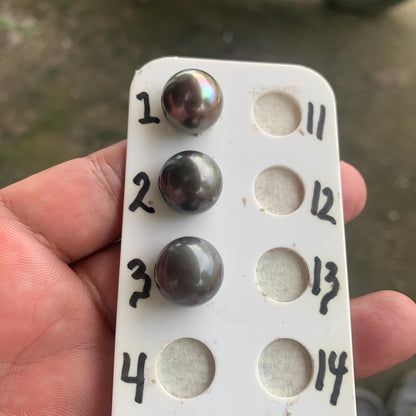 14mm Loose Seawater Tahitian Black Pearl Beads BoZorX BT-6
