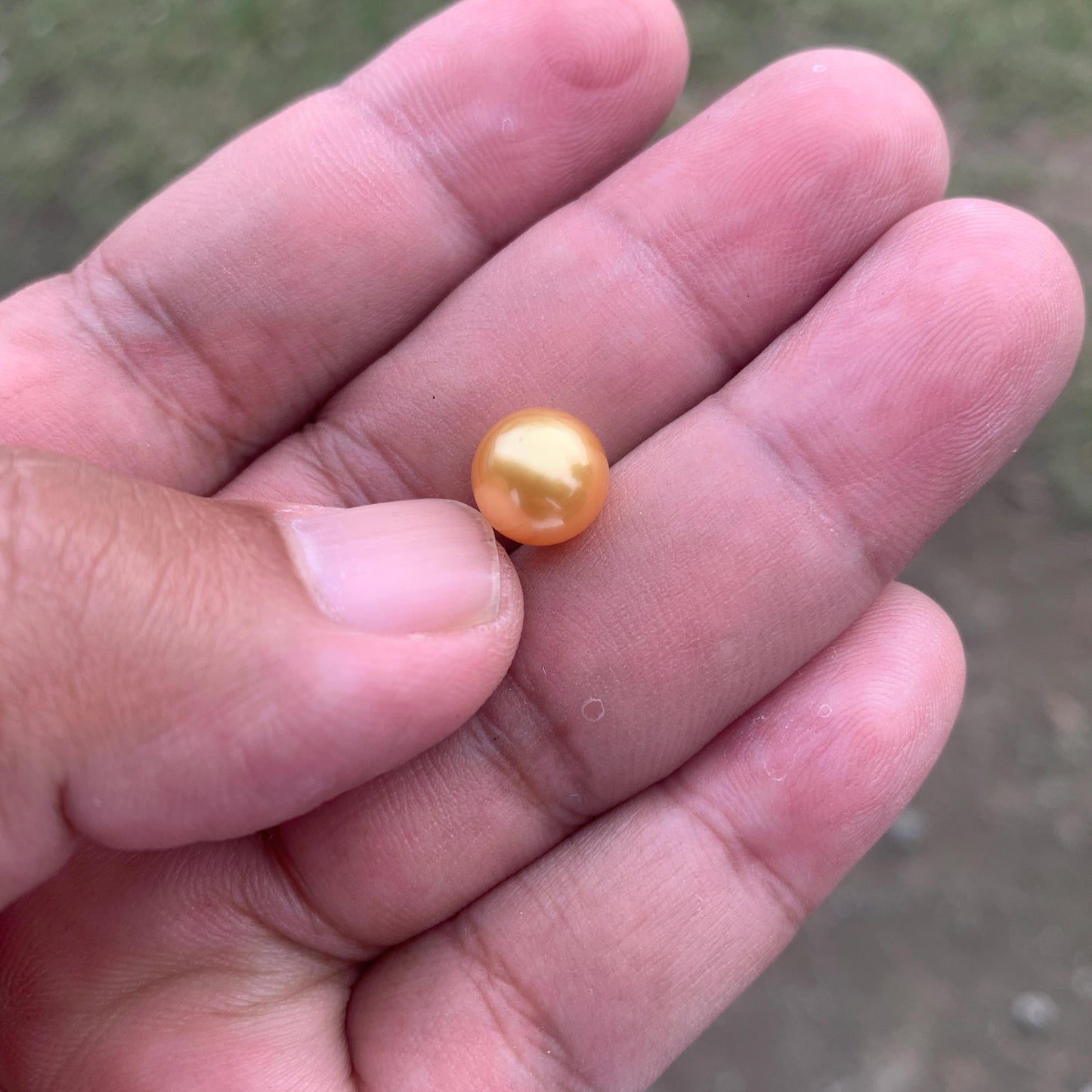 Loose High Grade Golden South Sea Pearl High Grade Loose Seawater Saltwater Pearl Small-1