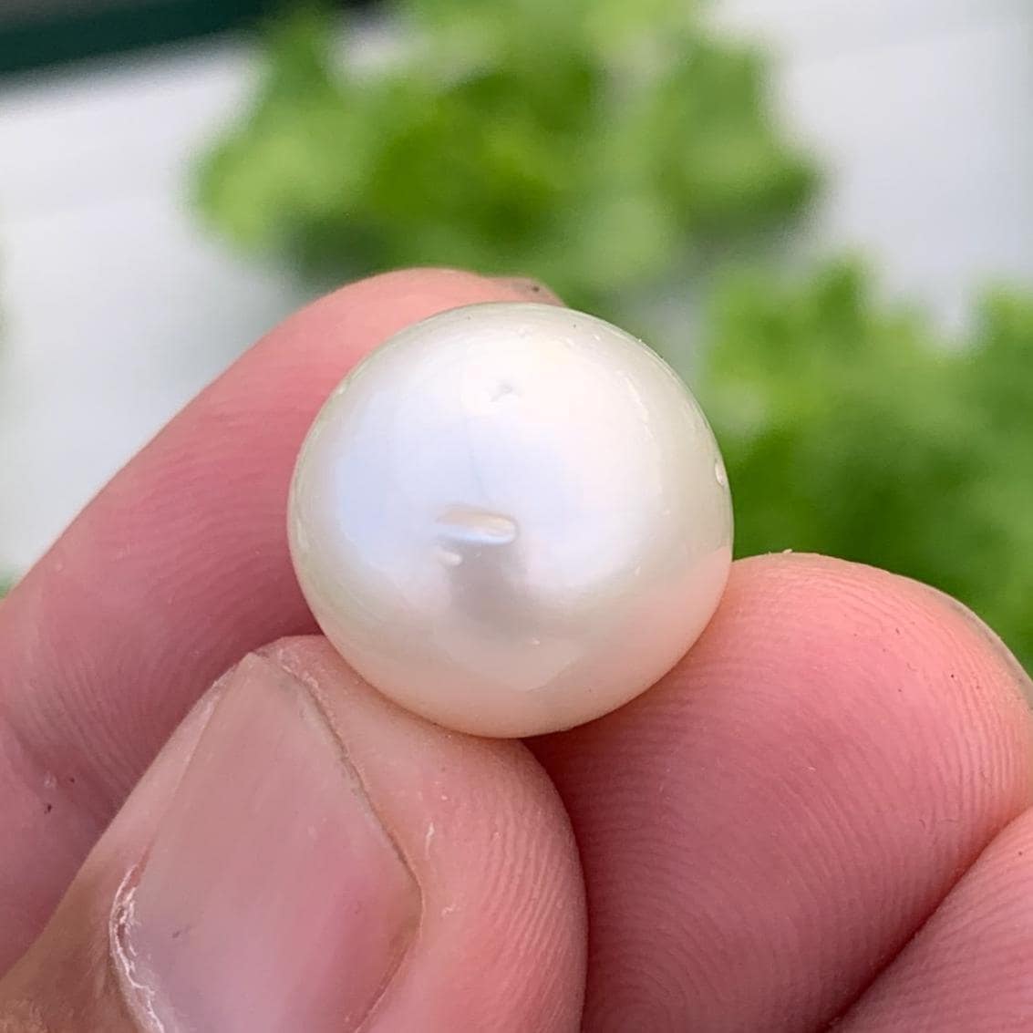 White South Sea Pearl Loose Indonesia Pearl (15x14.7mm) BoZorX FR-5