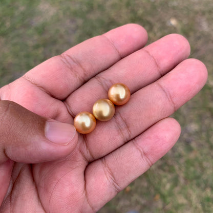 3 Pcs 10mm Golden South Sea Pearls High Grade Loose Gem  PP3-7