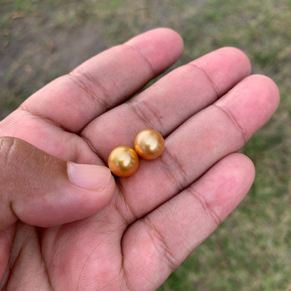 9.6mm Golden South Sea Pearl Pair High Grade Loose Gemstones PP3-8