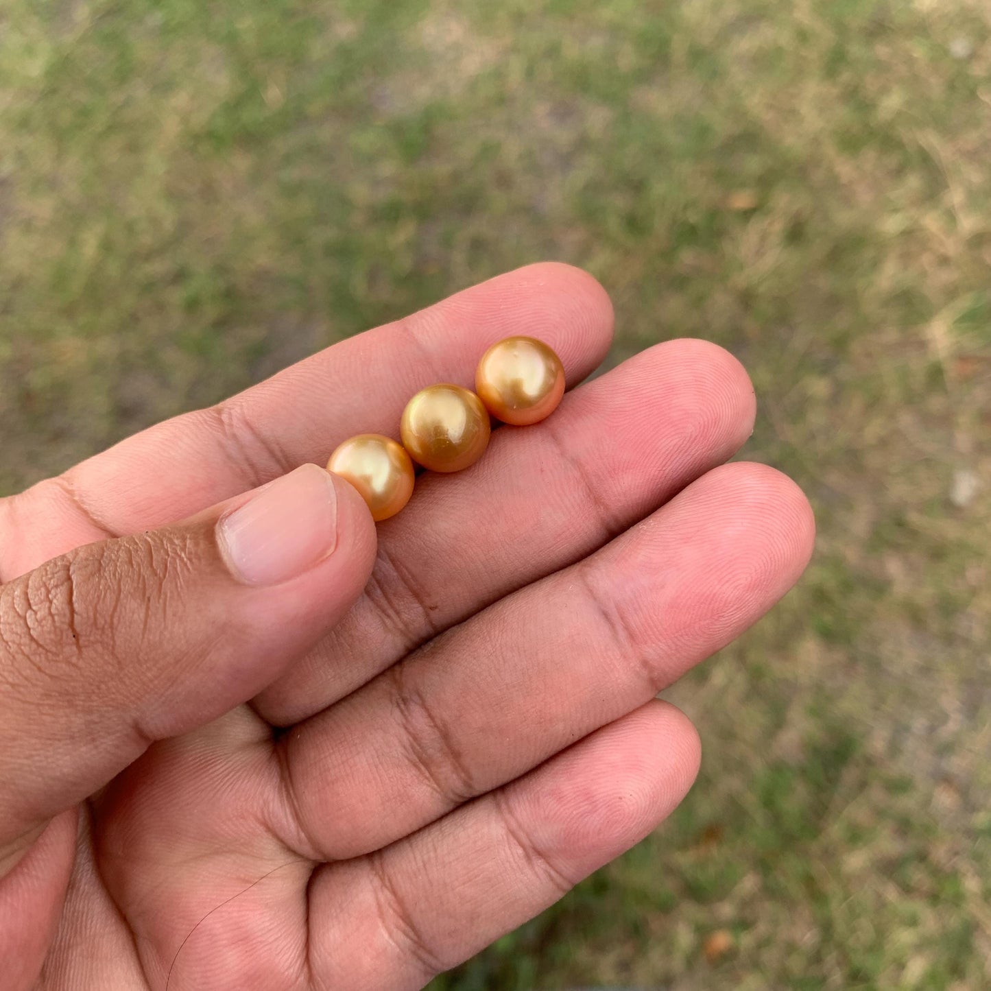 3 Pcs 10mm Golden South Sea Pearls High Grade Loose Gem  PP3-7